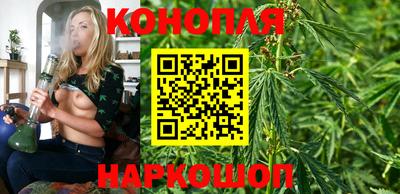 мяу мяу мука Владивосток